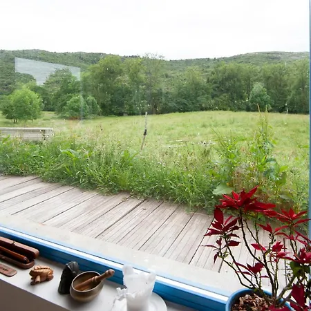 La Madriguera Azul 샬레 Secadura