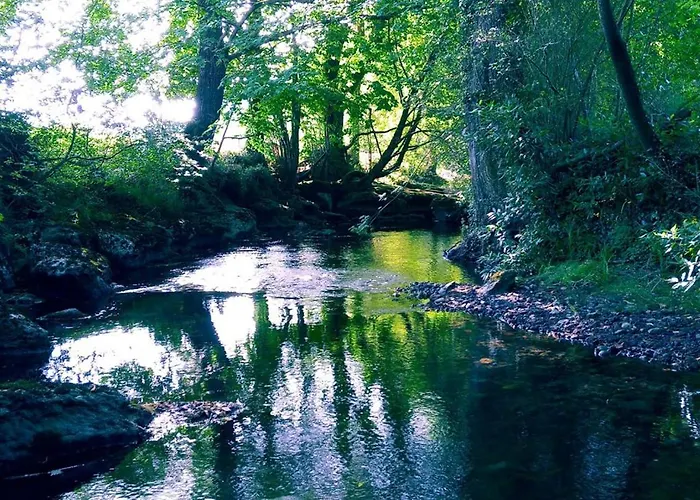 La Madriguera Azul * Secadura